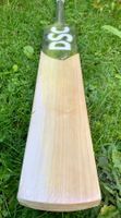 DSC Blak 10 English Willow Cricket Bat