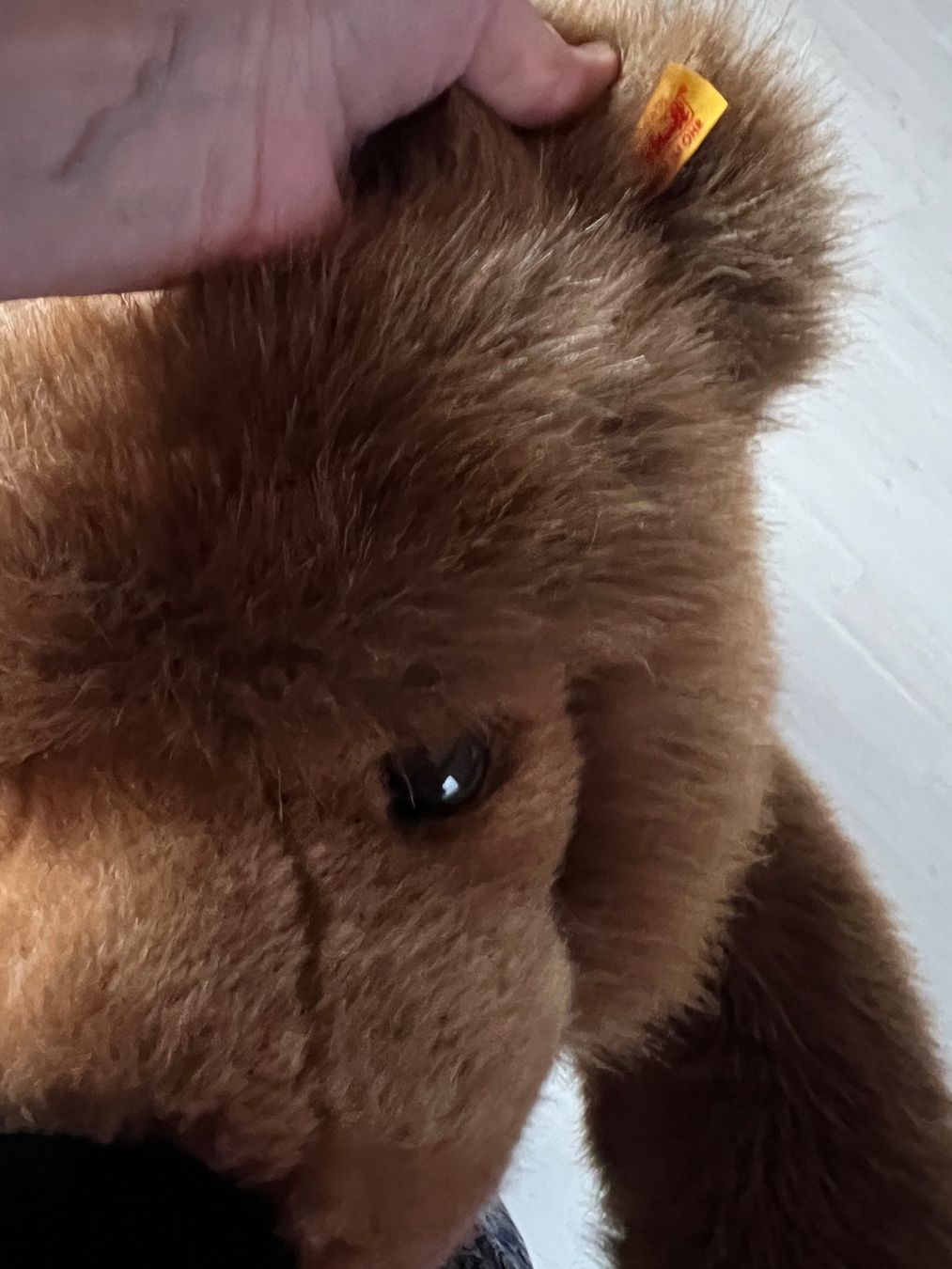 Steiff Giocattoli: Seppetoni Riesenbär Steiff – Nuovo (secondo la descrizione) da Zürich venduto da Girasole232 4