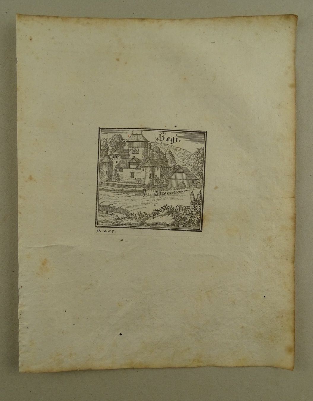 Incisioni: HEGI, KUPFERSTICH, BLUNTSCHLI 1742 – Usato da Grüningen venduto da Kartensammler 1