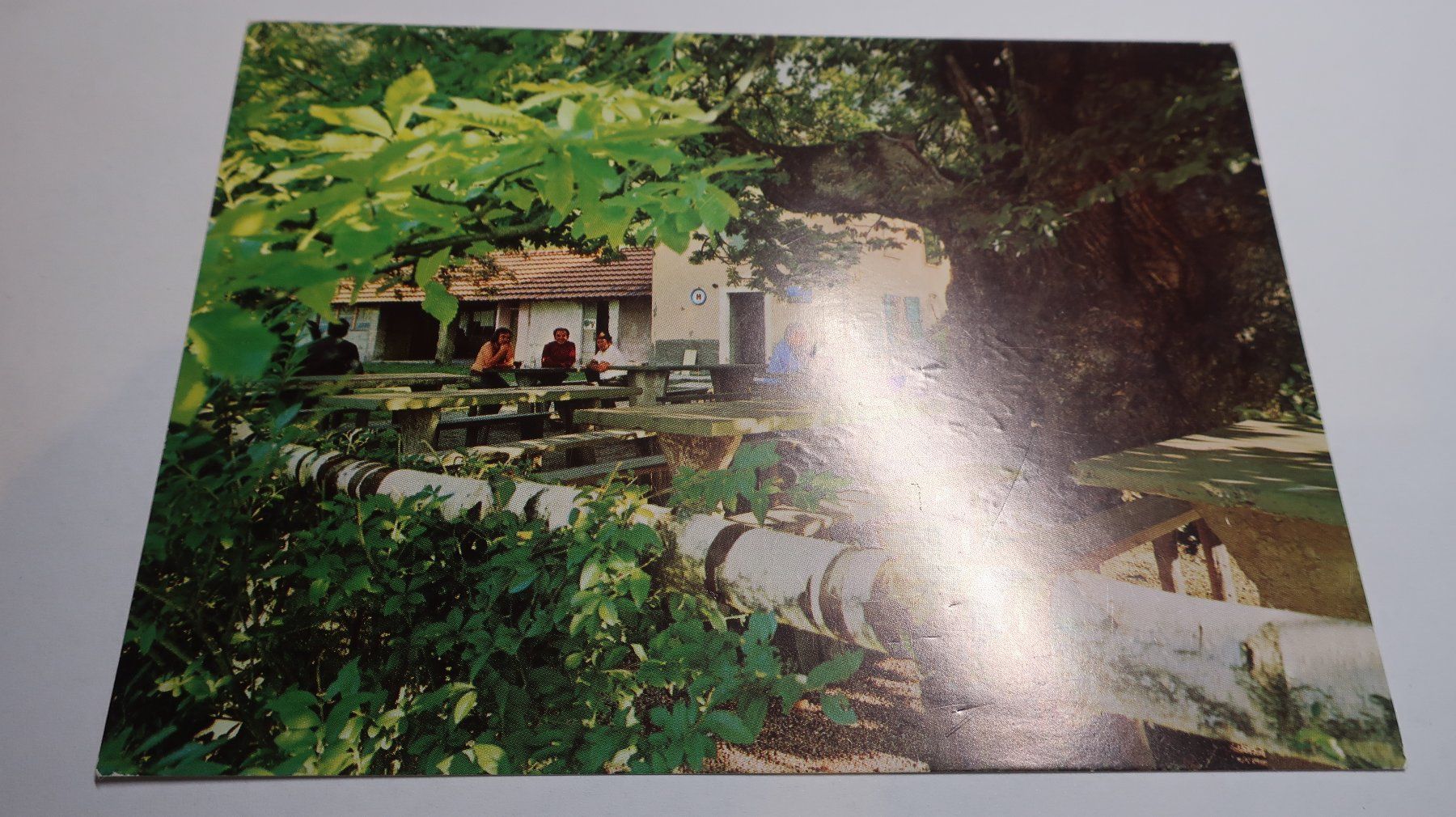 Cartes postales: Trattoria Alpe di Brusino – D'occasion à Cormoret par Pascalll2001 1