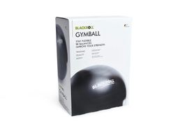 GYMBALL INKL. PUMPE