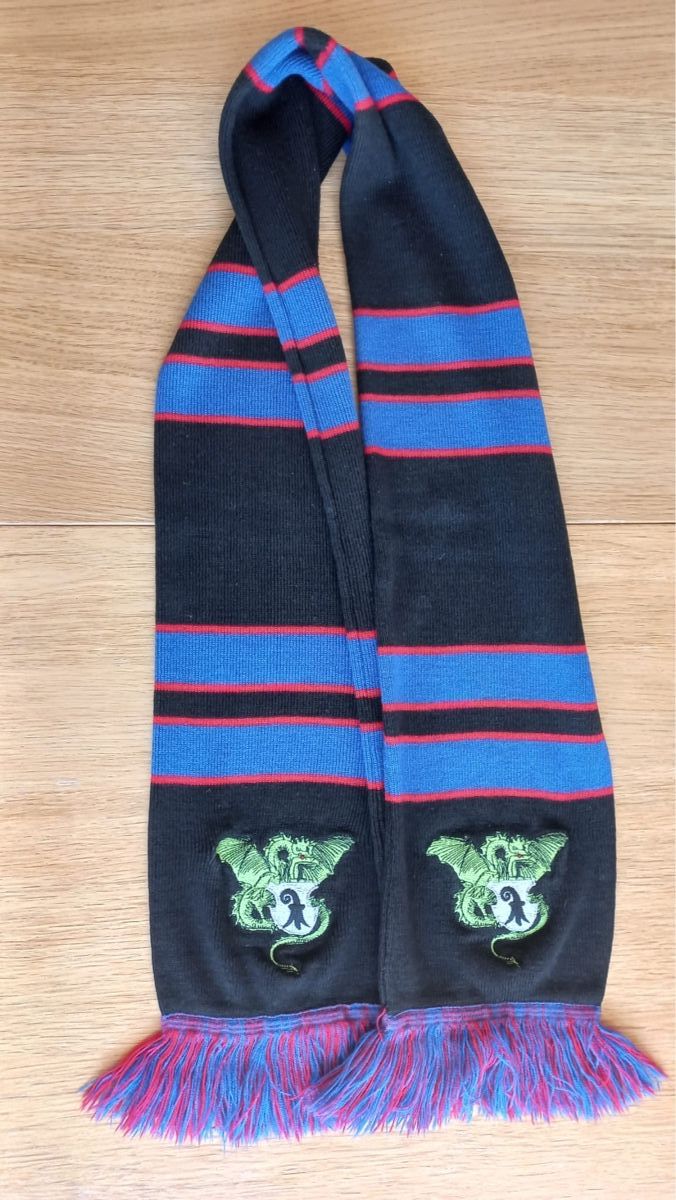 FC Basel Foulard & Sciarpe: Fc Basel Fan Winter Schal – Usato da Kaiseraugst venduto da RJ03
