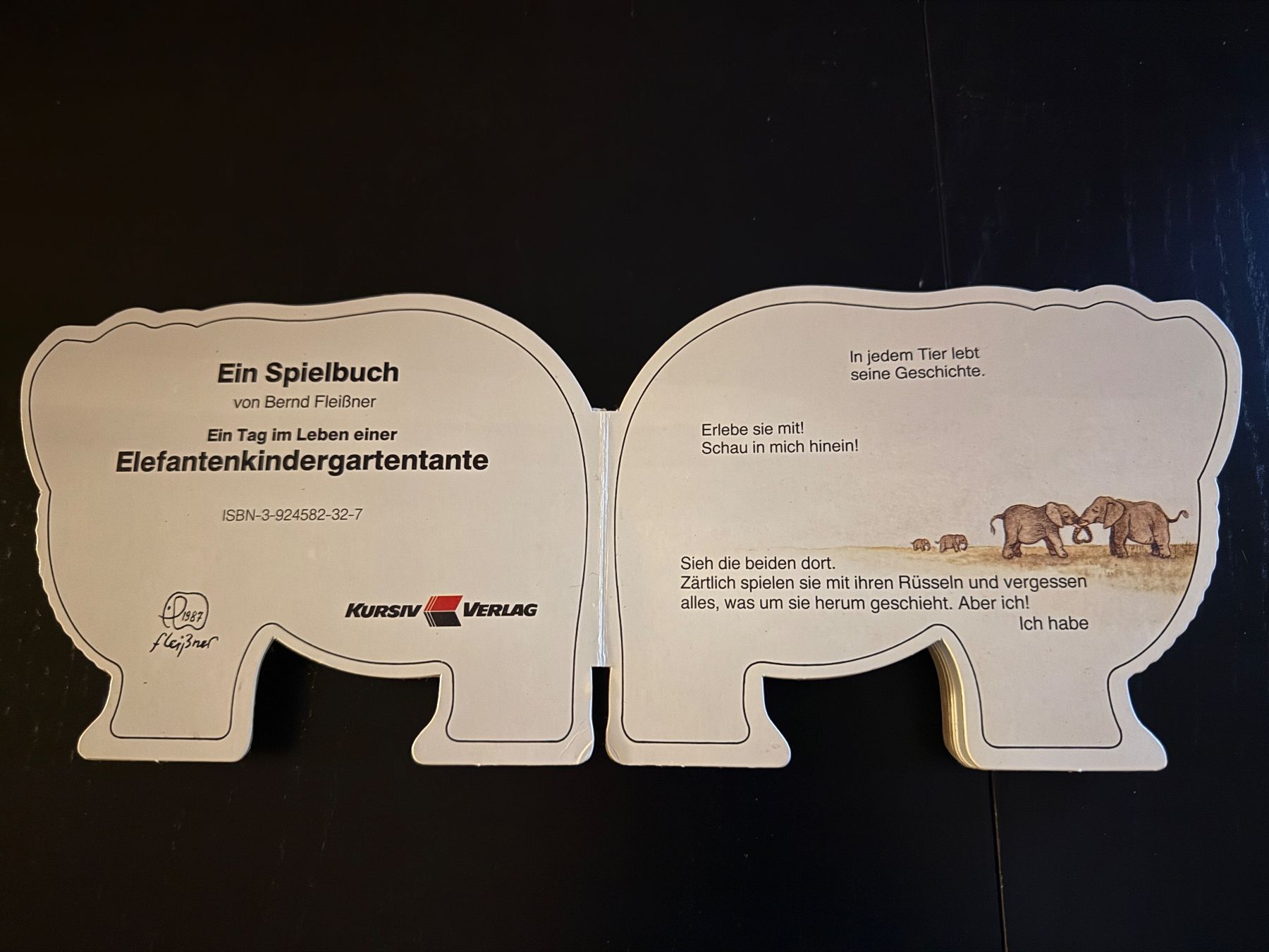 Libri: Elefant Kinderbuch "Ein Tag im Leben einer Elefantentante" – Usato da Erstfeld venduto da Uhu1980 1