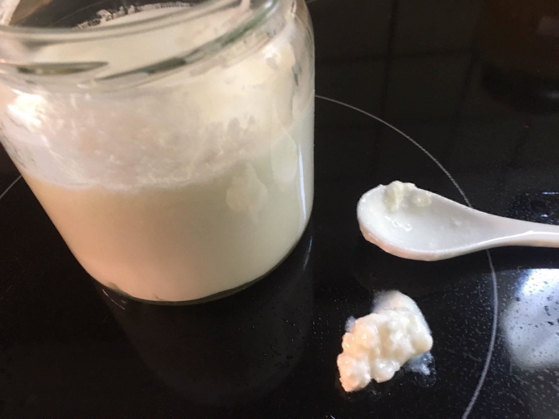 Cibi & Specialità: Kefir, Milchkefir (Bio) – Nuovo (secondo la descrizione) da Wattwil venduto da Radical3 3