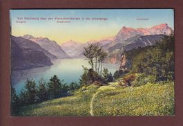 Von SEELISBERG über den Vierwaldstättersee