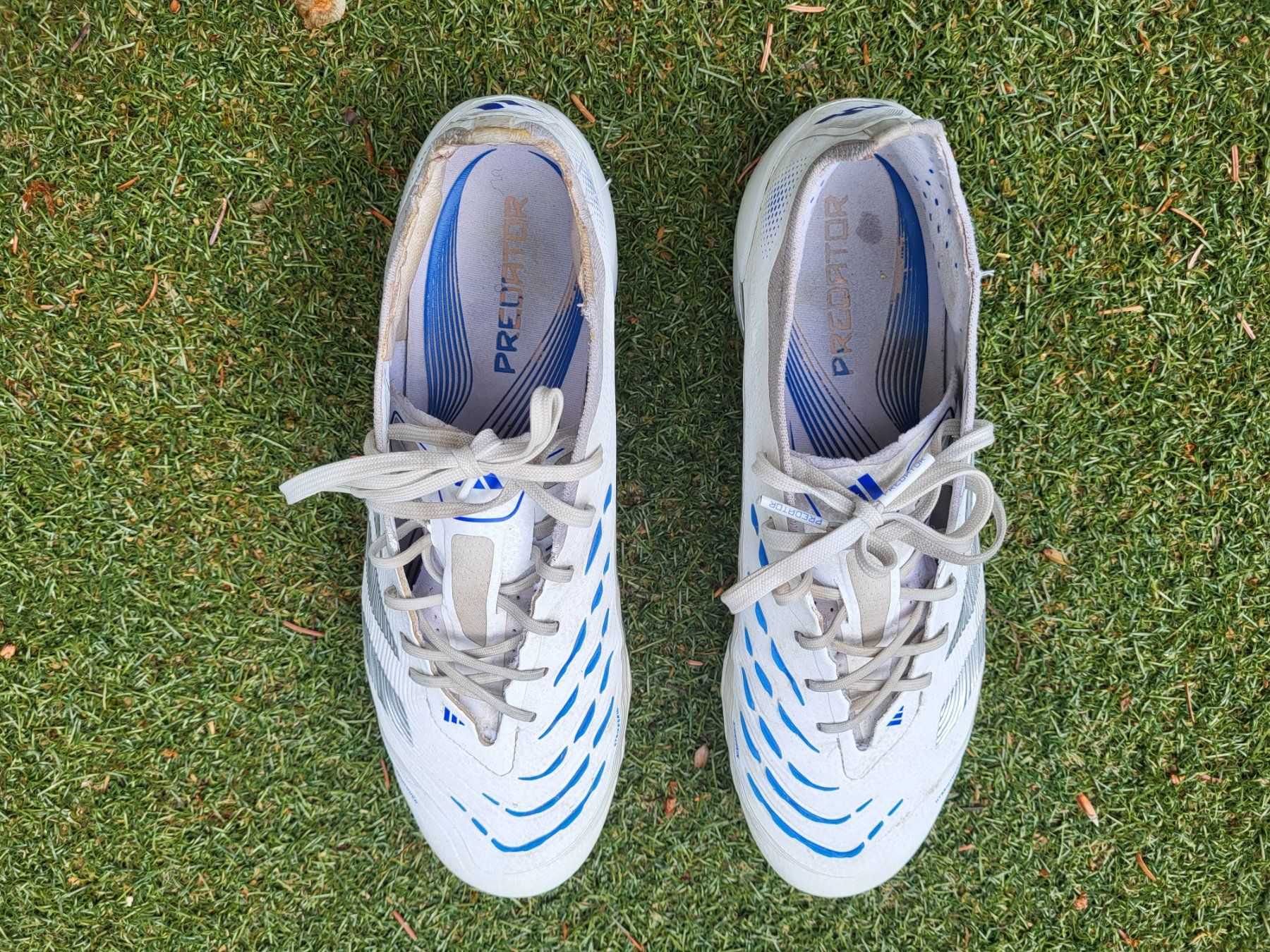 Scarpe da uomo: Fussballschuhe "Predator" – Usato da Uster venduto da gurust 3