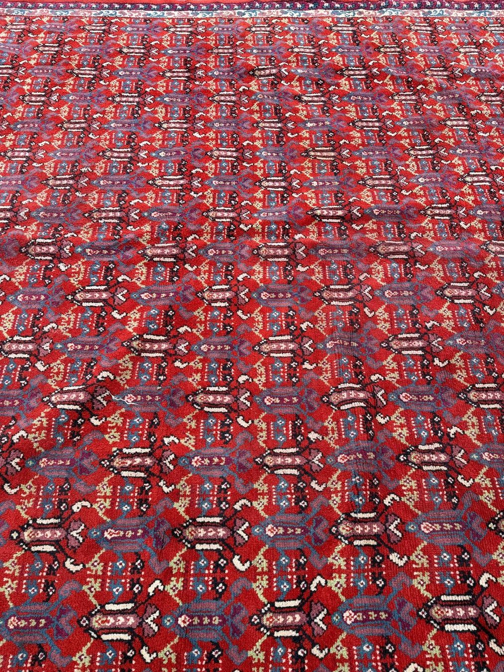 Tapis: wunderschöne handgeknüpfte Teppich  – D'occasion à Grenchen par has_y6xd