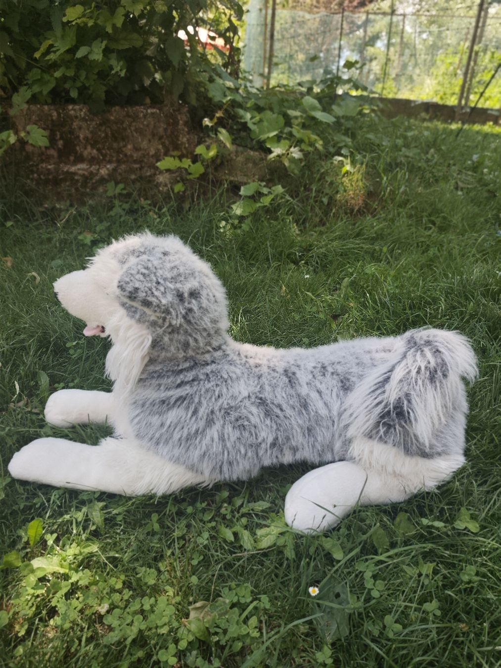 Spielzeuge: Grosser Plüschhund  – Gebraucht aus Wald ZH von Enyafay 2
