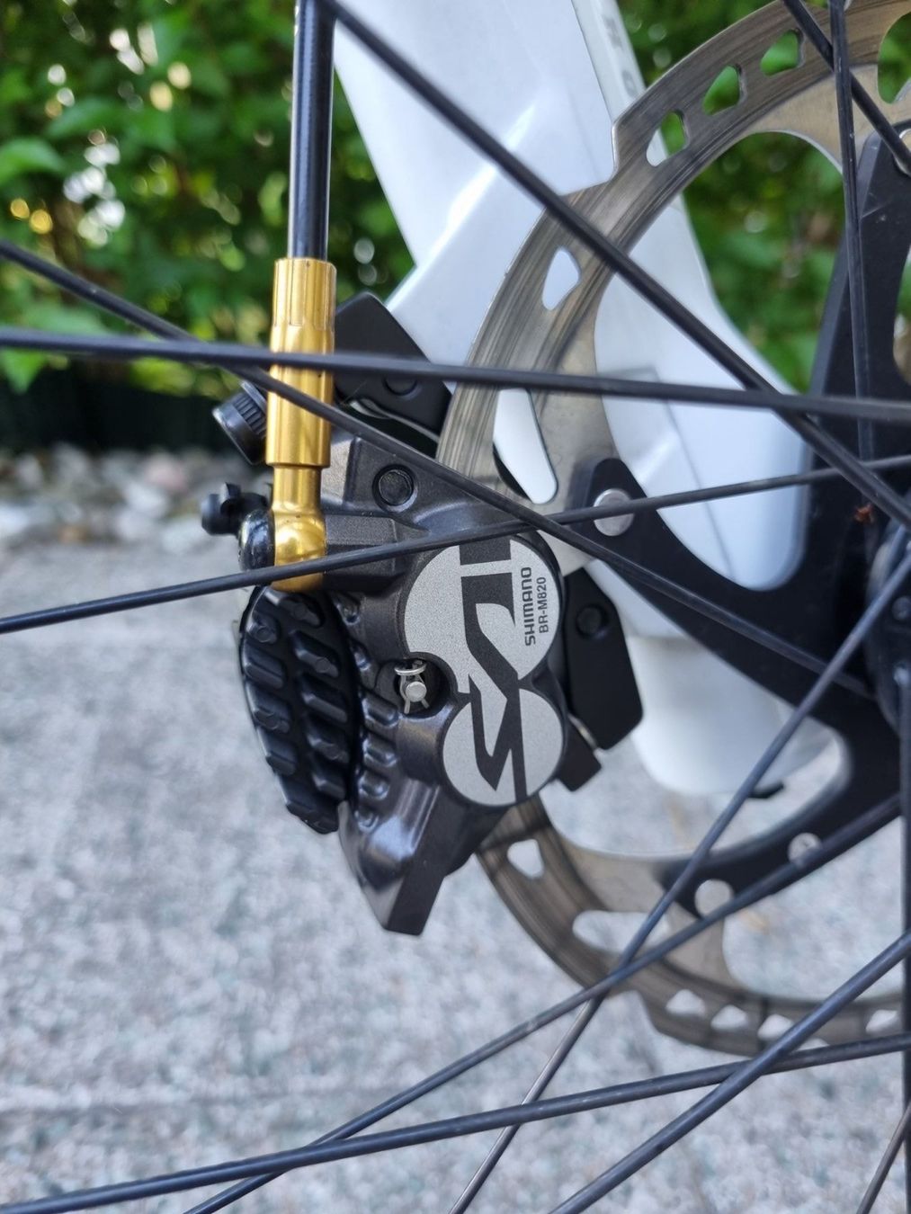 Ghost Biciclette: Downhill Bike Ghost – Usato da Bülach venduto da cf96 7