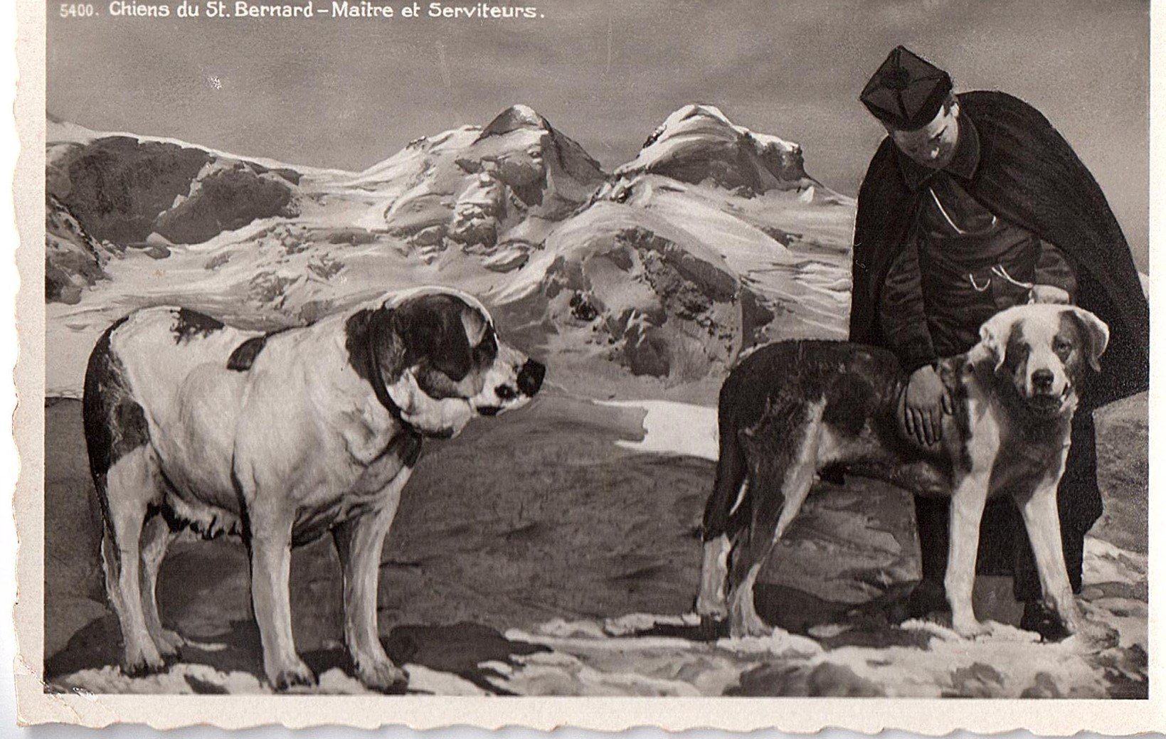 Cartoline postali: Ansichtskarte Bernhardiner Chiens du St Bernard – Usato da Mörschwil venduto da aik_x8mc
