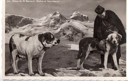 Ansichtskarte Bernhardiner Chiens du St Bernard