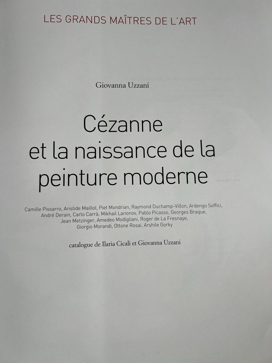 Libri: Cézanne Kunstbuch Malerei Moderne Kunst Bilderbuch top – Nuovo (secondo la descrizione) da Oberhofen Thun'see venduto da SwissTreasure 2