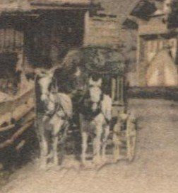 Ansichtskarten: LANDWIRTSCHAFT/POSTKUTSCHE 1900 Leysin VD – Gebraucht aus Wil SG von Clanx 1