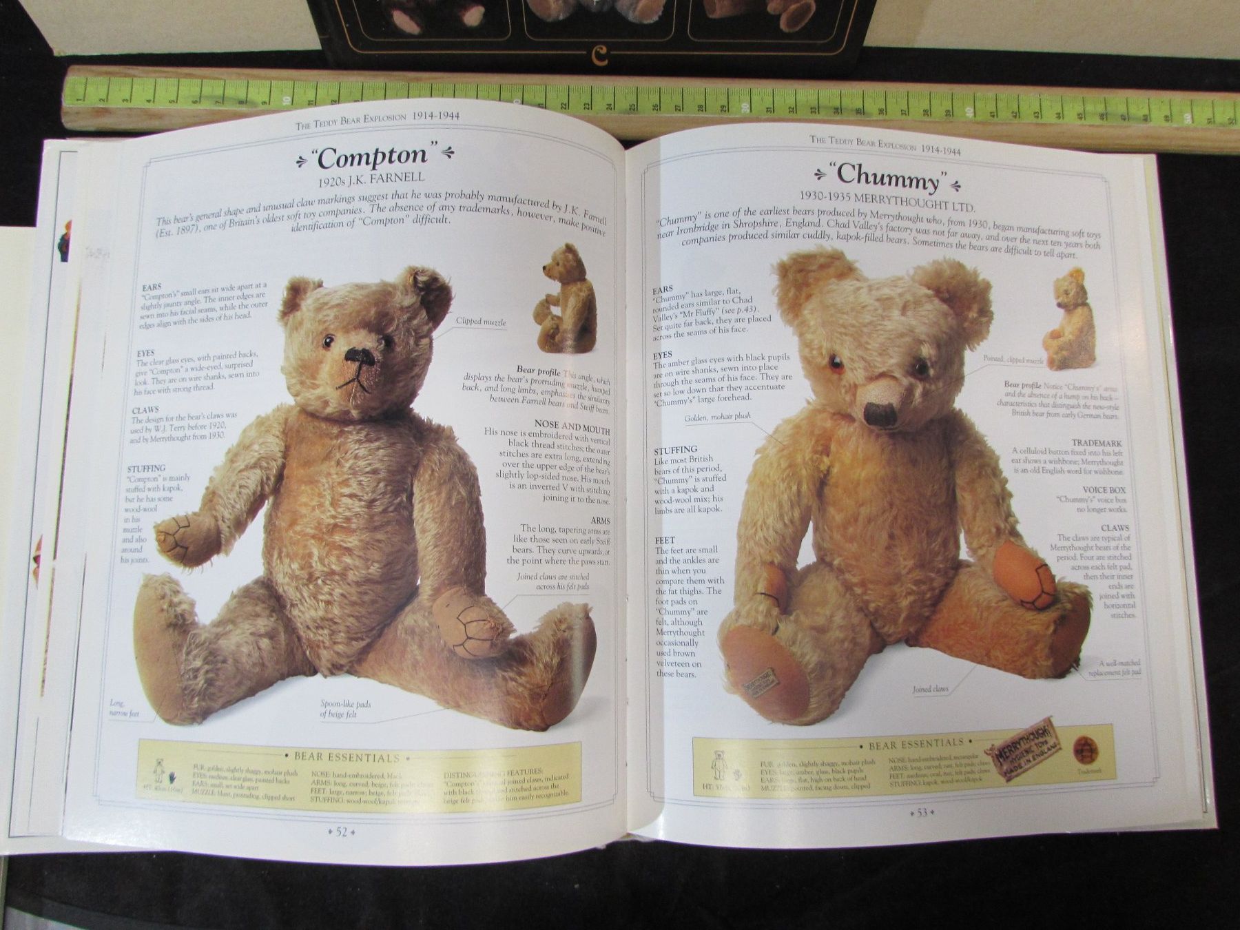 Bücher: Teddy-Bär sammeln – Gebraucht aus Walchwil von Shells1 7