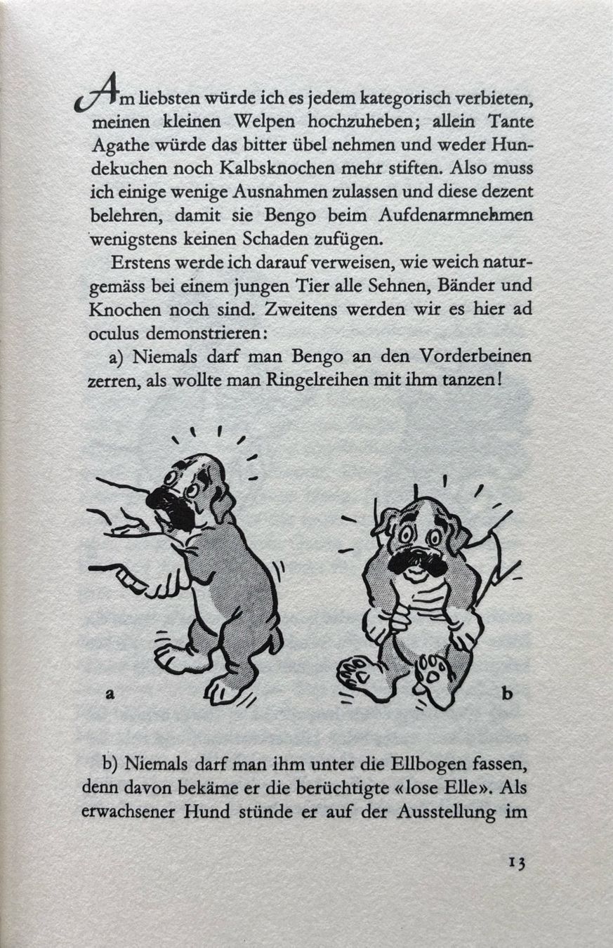 Libri: Junger Hund - was nun? – Usato da Sarnen venduto da Livres 3