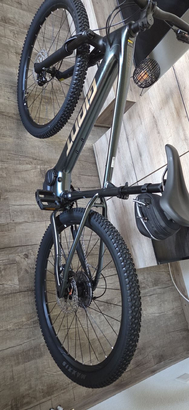 Giant Vélos: Neues e mountainbike giant  – Neuf (Voir description) à Eigenthal par pau_w7h2 1