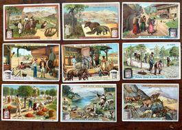 9 antike Werbebilder ca. 1885 Firma Liebig Fleischkonserven