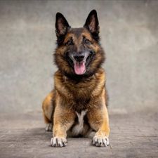 Profile image of Polizeinotruf