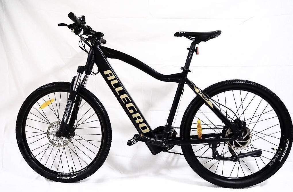 Biciclette: ALLEGRO Invisible Axim03 E-Mountainbike – Usato da Stettlen venduto da alonso14