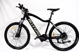 ALLEGRO Invisible Axim03 E-Mountainbike