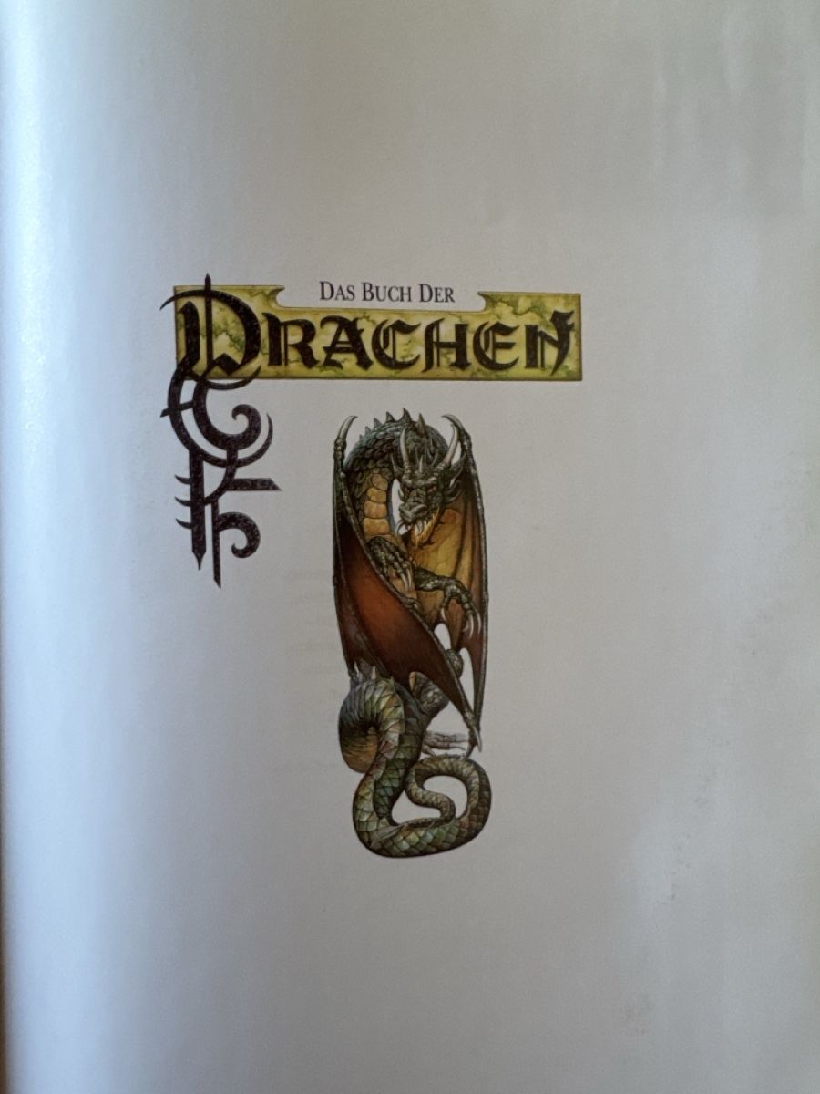 Libri: Das Buch der Drachen, Ciruelo – Usato da Eschenz venduto da Belladog 2
