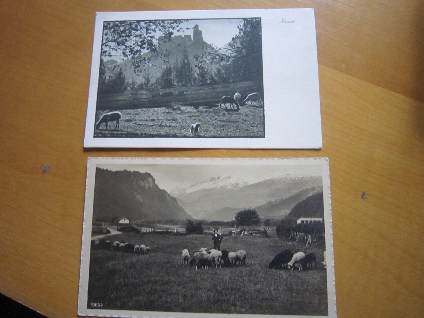 Cartoline postali: No1 schöne antike Postkarten Schaafe – Usato da Gordola venduto da Polentaefung