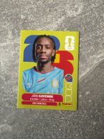 Panini  Joris KAVEMBE COD7