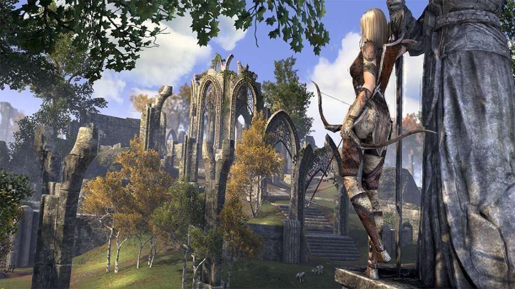 Microsoft Giochi: The Elder Scrolls Tamriel Unlimited Xb One – Usato da Schüpfheim venduto da Games_Spielkonsolen 2