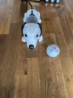 Coole Roboter Hund Spielzeug mit Ball