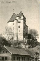 Valangin, Chateau