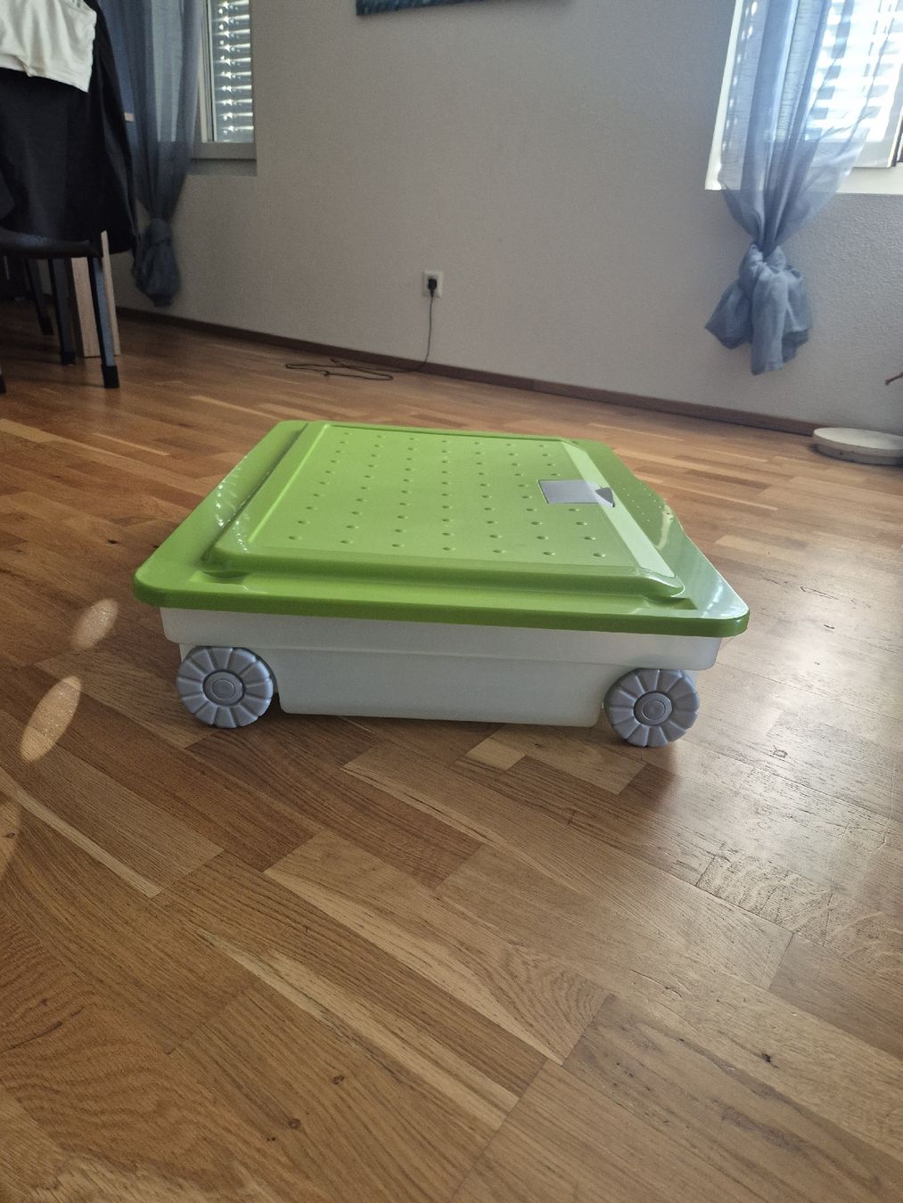 Rotho Contenitori & Simili: Box mit Rollen – Nuovo (secondo la descrizione) da Altishofen venduto da Simba220 2