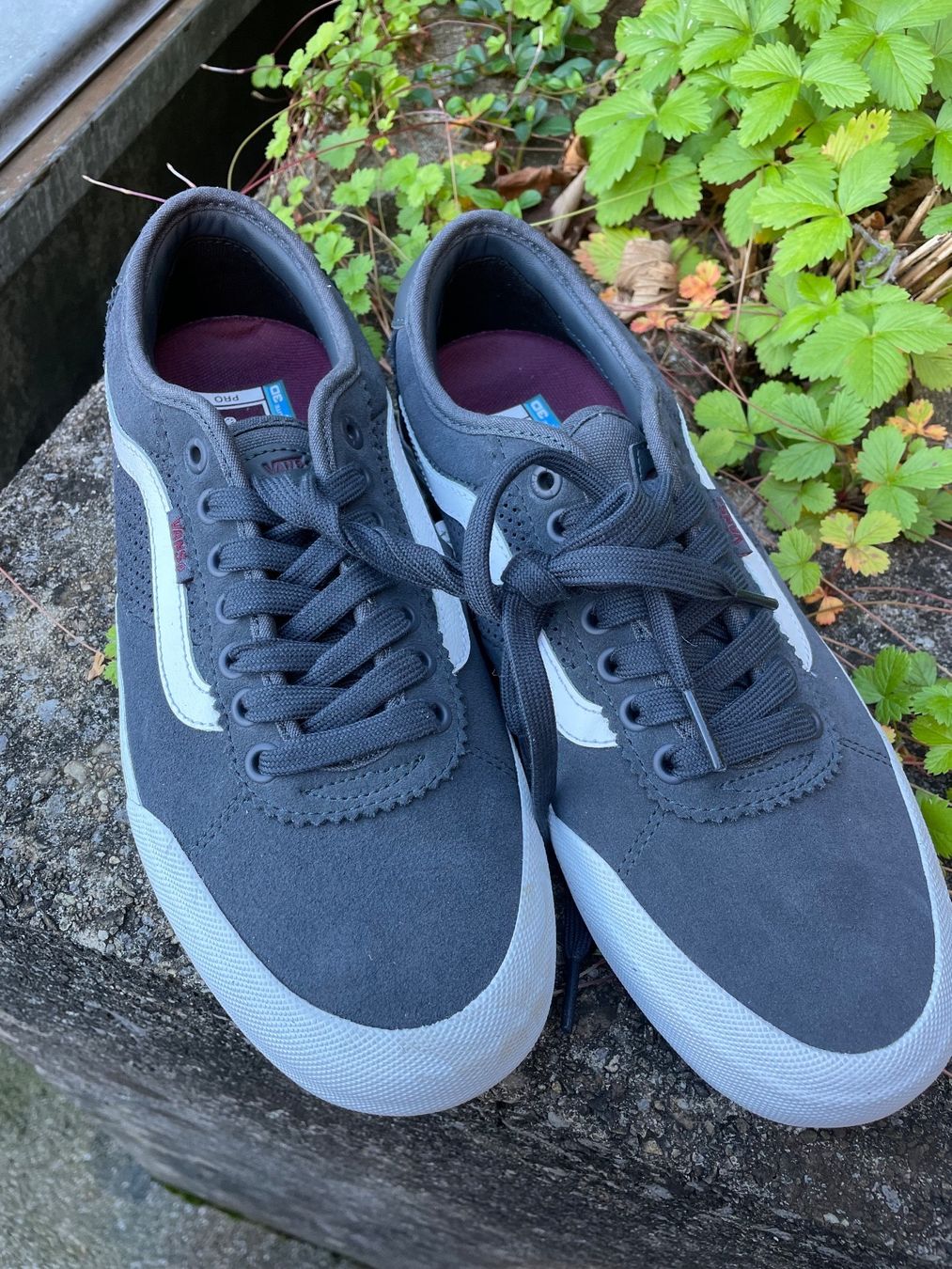 Vans Herrenschuhe: Vans Sneakers, Grösse 40.5, neu – Neu und originalverpackt aus Hochdorf von jayayoga