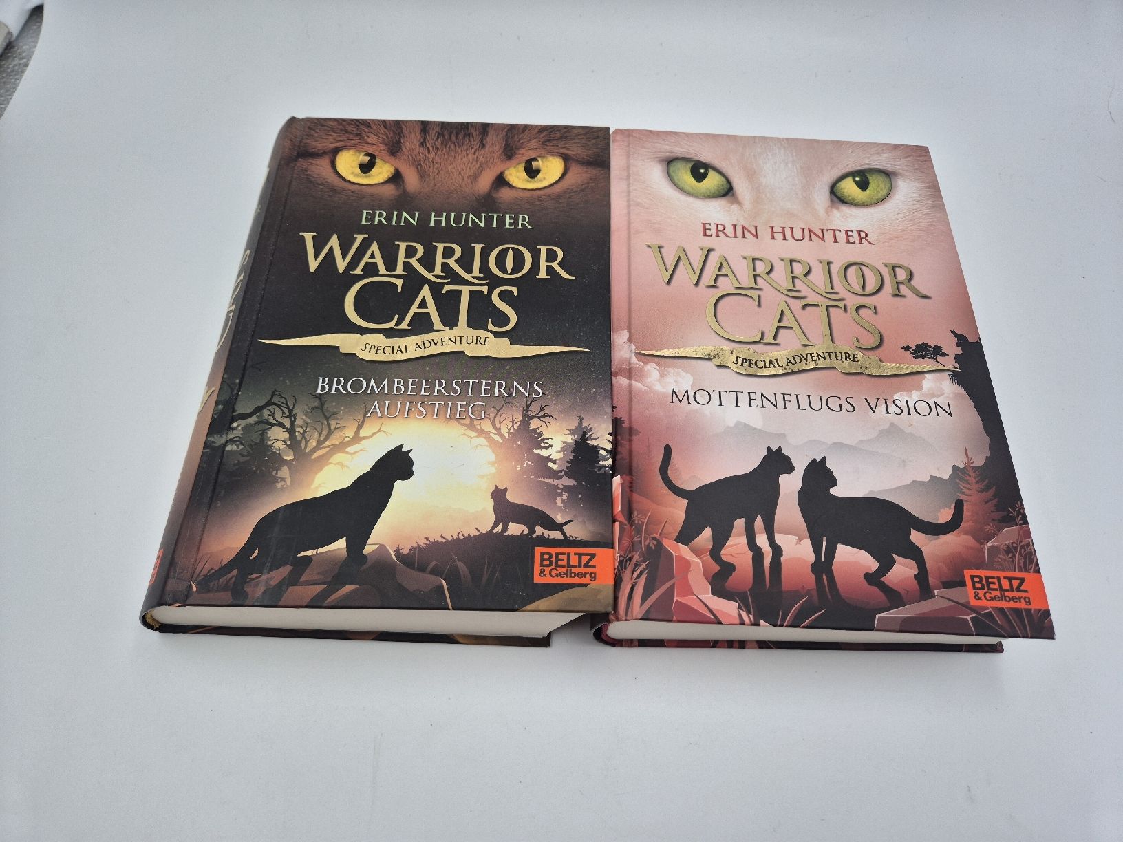 Libri: Warrior Cats Brombeersterns Aufstieg und Mottenflugs Vision – Usato da Ettiswil venduto da beekeper13