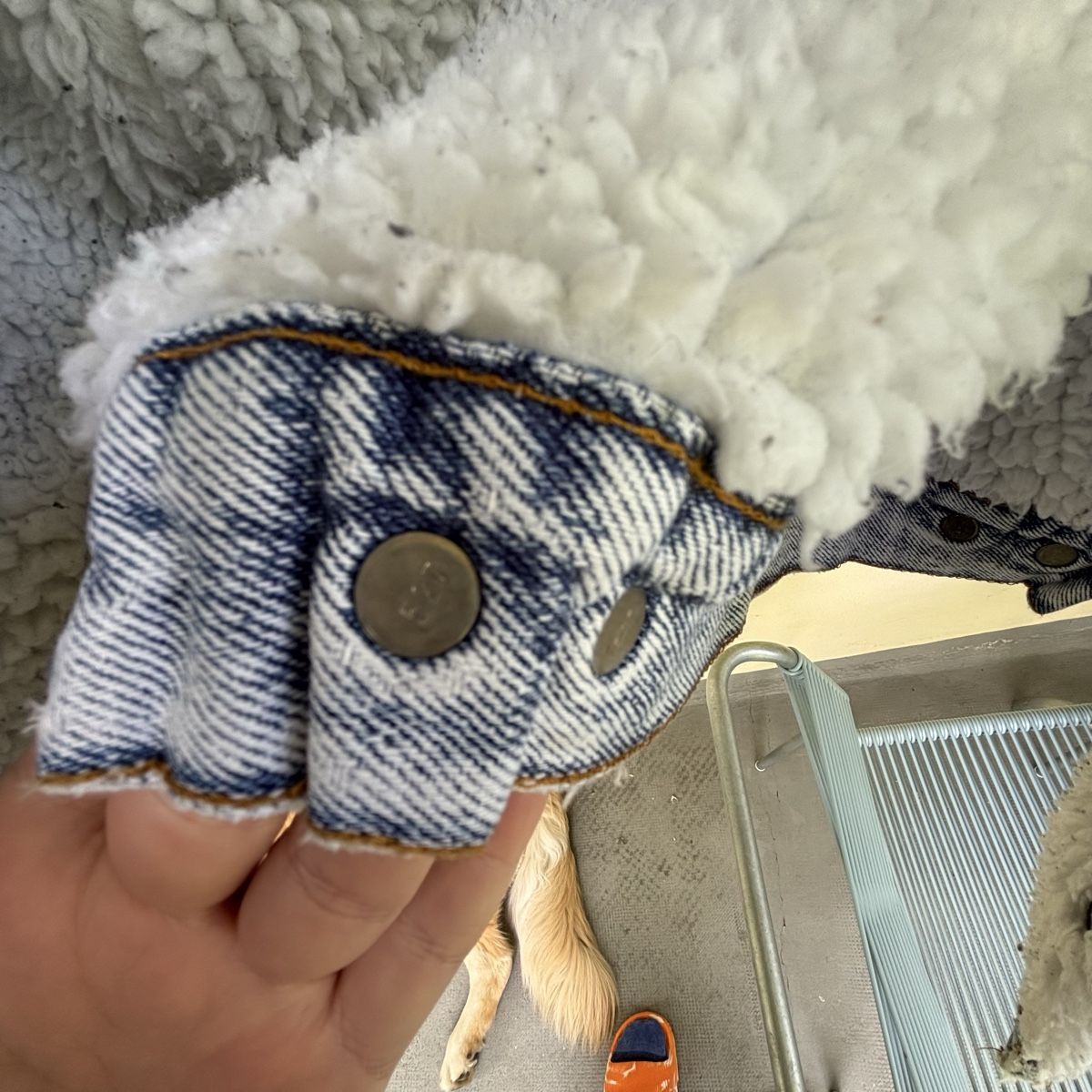 Levi's Giacche: Levis sherpa vintage – Usato da Basel venduto da lea_pp 3