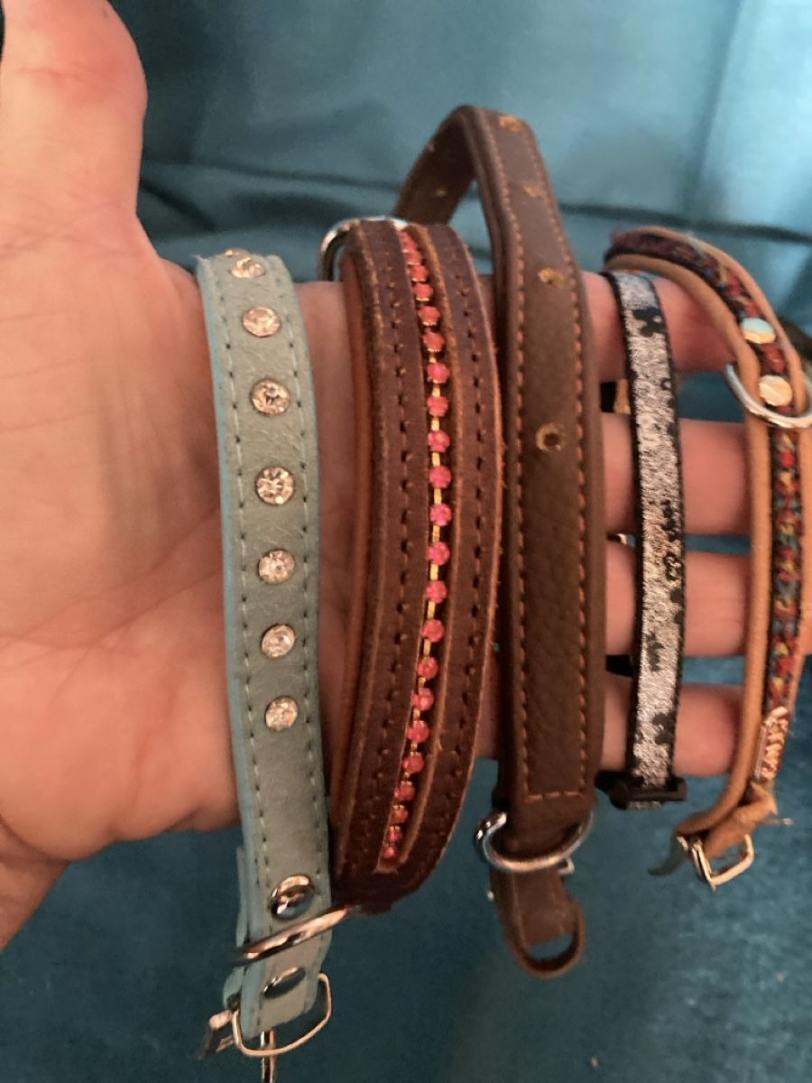 Abbigliamento: Hundeartikel – Usato da Schwanden GL venduto da bait04 3