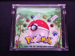 Pokemon Display Jungle 1. Edition Spanish OVP sealed