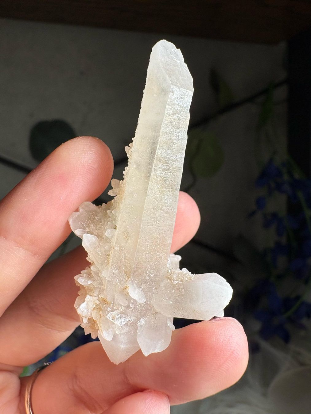 Minerali & Pietre curative: Kolumbianischer Lemurian-Quarz-Cluster – Nuovo (secondo la descrizione) da Neuheim venduto da m.hald