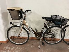 Velo Bottechio verde natura