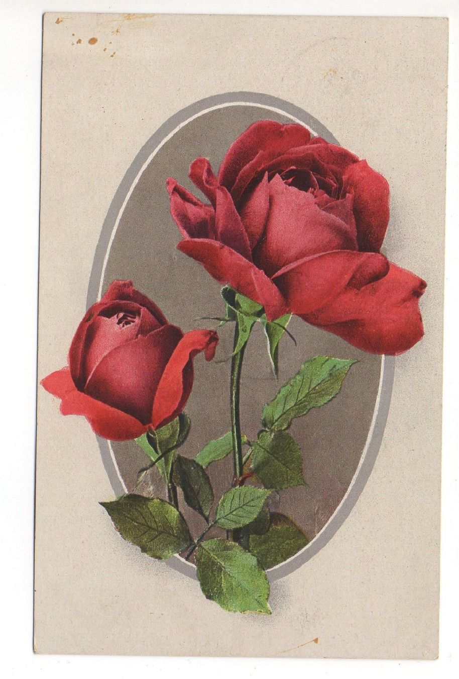 Ansichtskarten: BLUMEM ROSEN – Gebraucht aus Jona von philajona