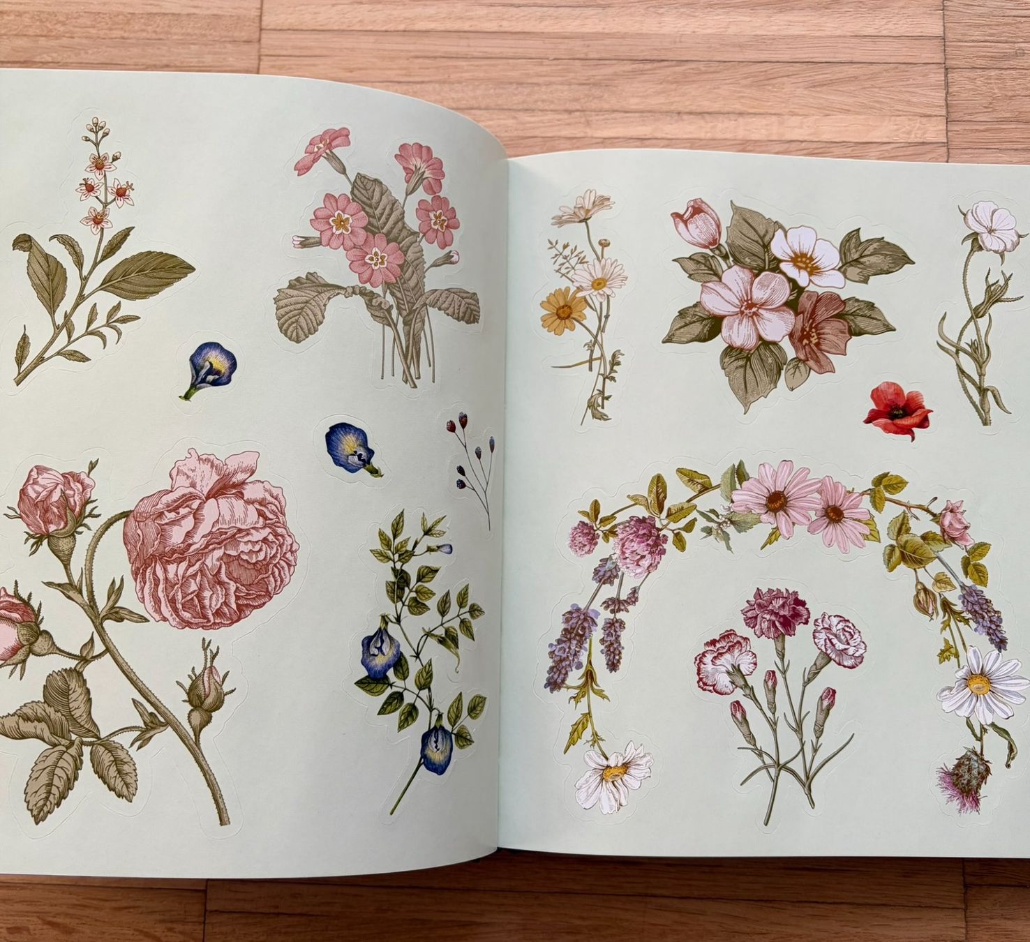 Sticker: Sticker Buch : Apothecary – Usato da Schlieren venduto da con_hdp9 3