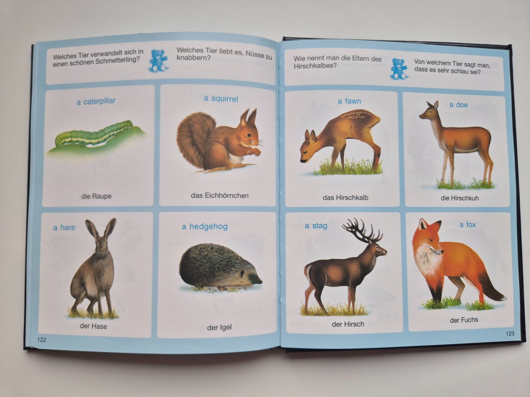 Bücher: Dein buntes Wörterbuch  🌻  DEUTSCH - ENGLISCH     fleurus – Gebraucht aus Niederweningen von Obson 4