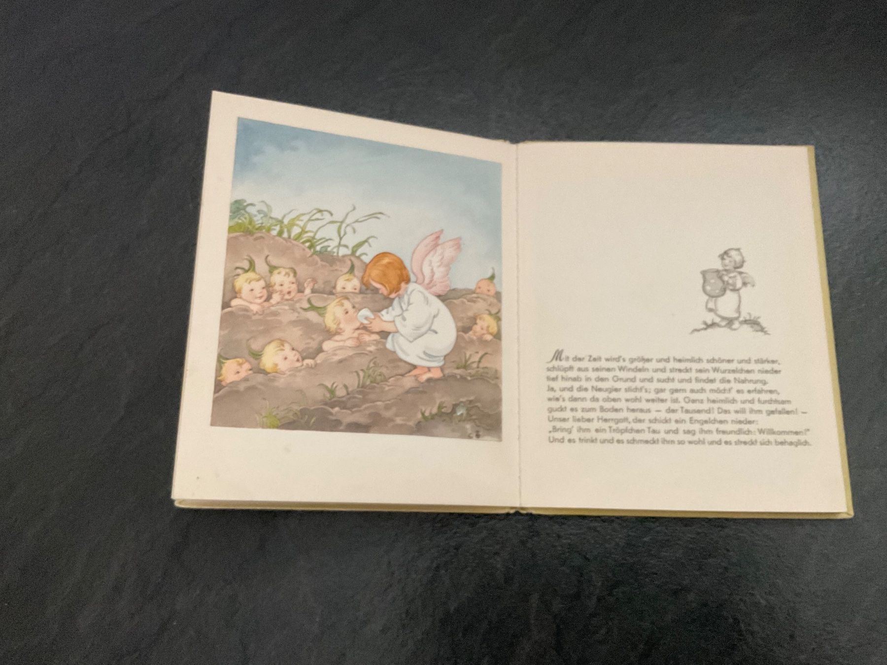 Bücher: Antikes Buch Das Habermus Peter Hebel – Gebraucht aus Wetzikon ZH von Gerbera5 3