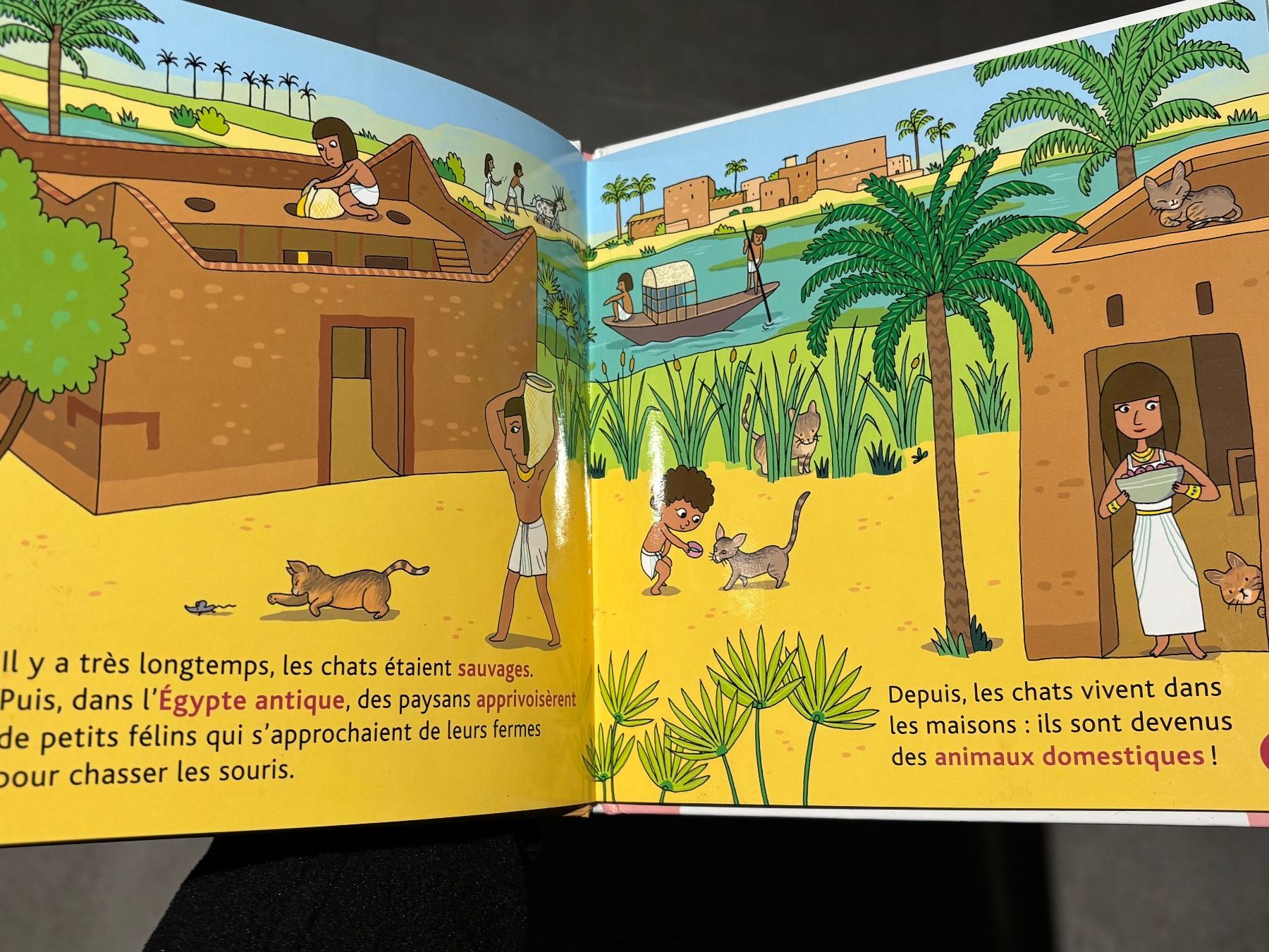 Libri: Livre mes petits docs les chats – Usato da Salvenach venduto da gwenwywar 1