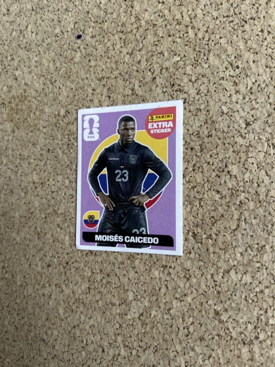 Panini Carte collezionabili: Panini 2026 Extra Sticker Caicedo – Usato da Stäfa venduto da mcfish78 2