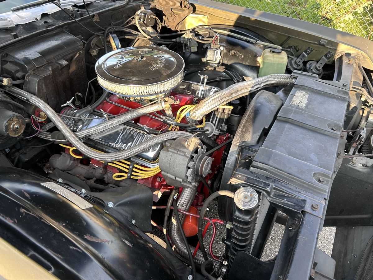 Buick Automobili: 1969 Buick Wildcat 455cui Bigblock – Usato da Krummenau venduto da Deezley 4