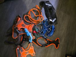 Leinen, Geschirre, Halsbänder für Kleine bis mittlere Hunde
