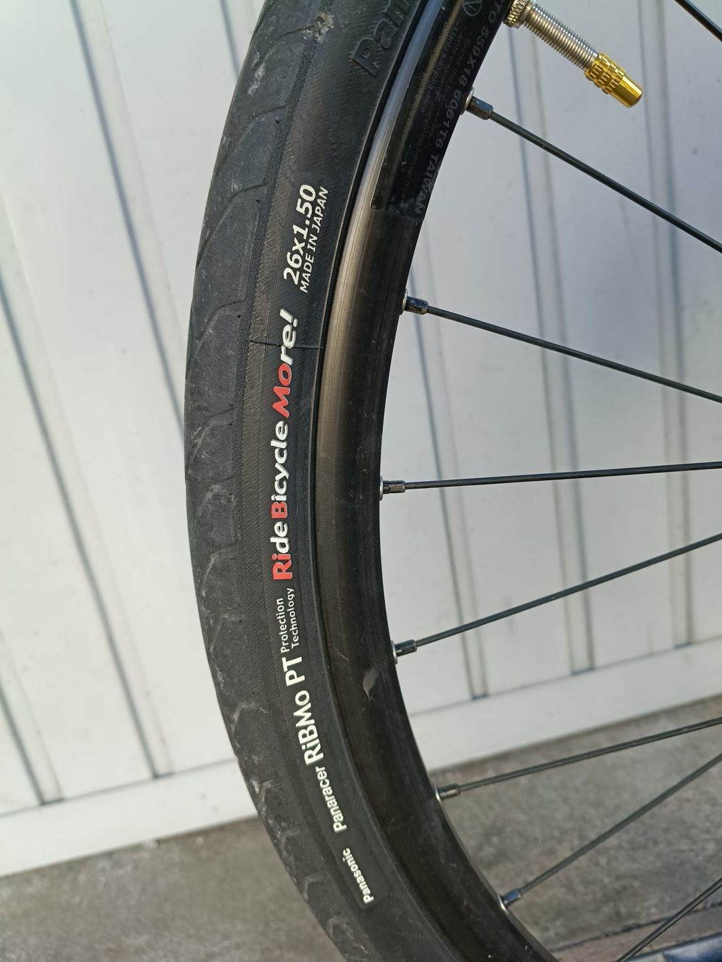 BMC Biciclette: Fahrrad BMC Alpenchallenge AC01 – Usato da Luzern venduto da WonderfulBasil 3