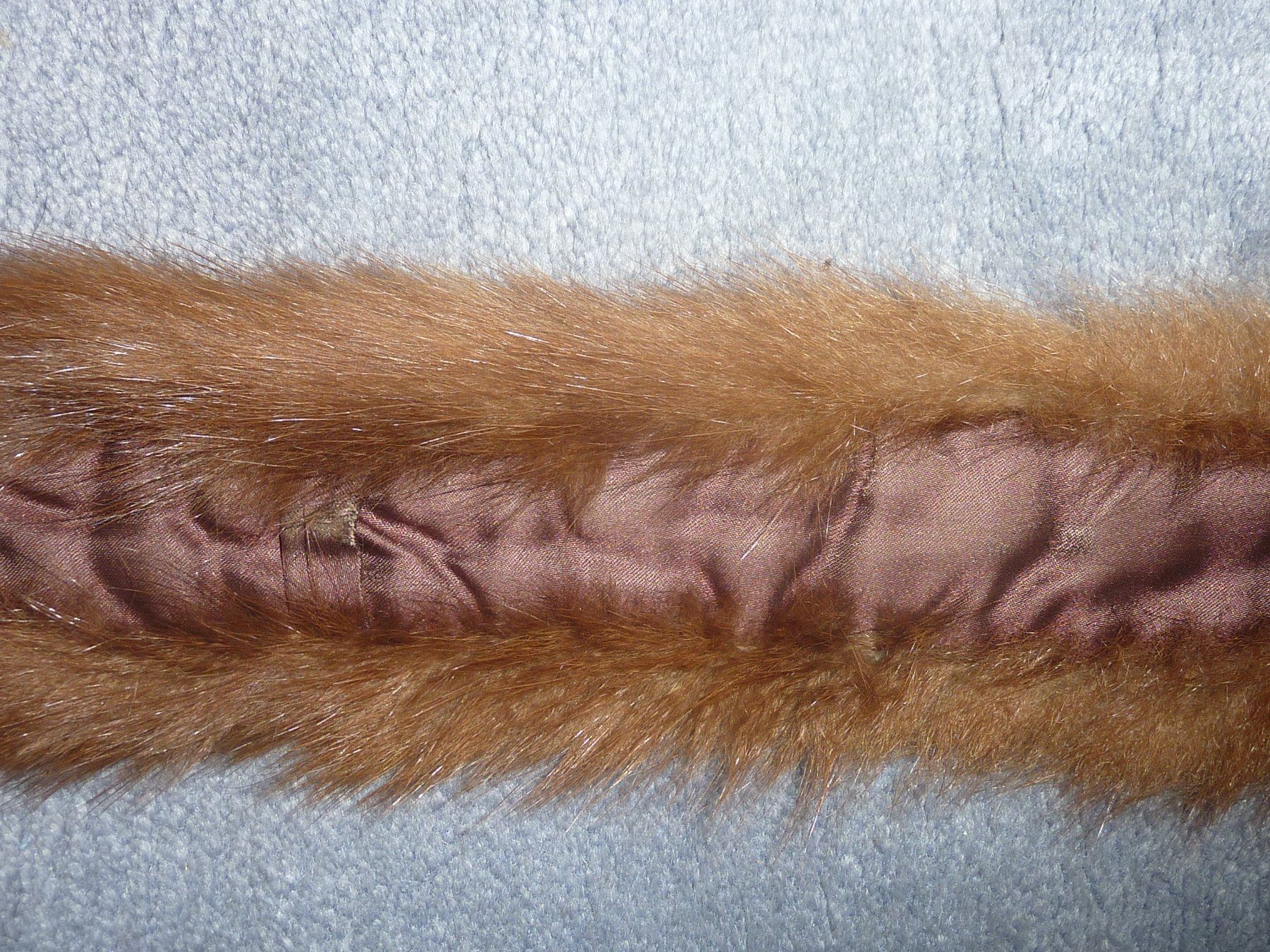 Foulard & Sciarpe: Pelz, Stola – Difettoso da Triengen venduto da Nussbaum14 6