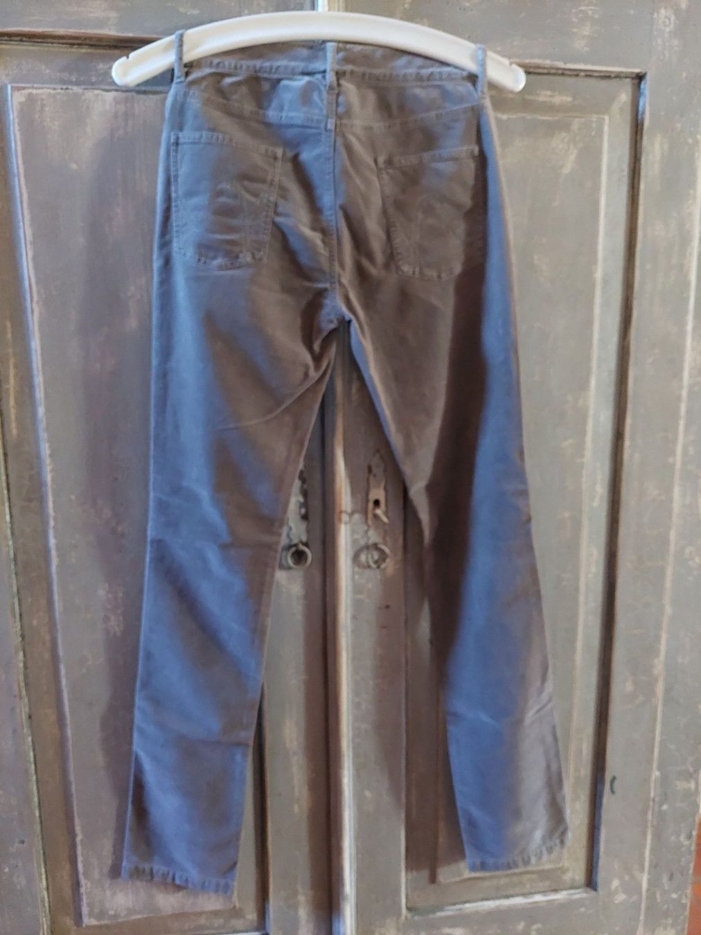 Jeans: FFC . Velours Jeans hellgrau stretch - 36 – Nuovo e nell'imballaggio originale da Besenbüren venduto da teluride89 1