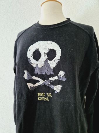 PULLOVER PULLI ZARA 164 13 14 JAHRE PAILETTEN,  TOP ZU JEANS
